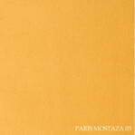 PARIS Mostaza 